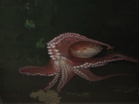 104_0470_IMG.jpg
