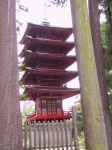 104_0476_IMG.jpg