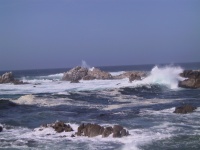105_0540_IMG.jpg