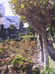 106_0630_IMG.jpg