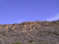670_G.jpg