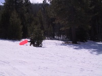108_0843_IMG.jpg