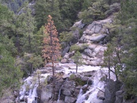 Rapids_1.jpg