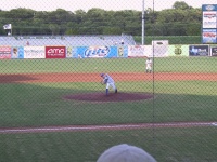 Cat_s_pitcher.jpg
