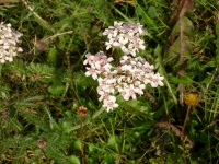 DSCN0555.JPG