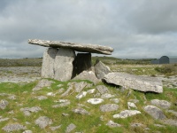 DSCN0560.JPG