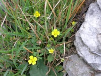 DSCN0570.JPG