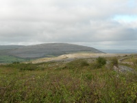 DSCN0573.JPG