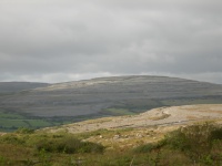 DSCN0576.JPG
