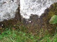 DSCN0586.JPG