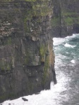 DSCN0510.JPG
