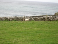 DSCN0336.JPG