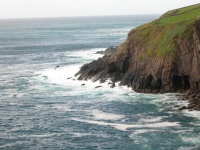 DSCN0339.JPG