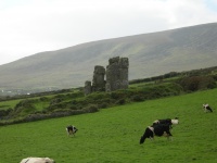 DSCN0396.JPG