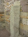 DSCN0423.JPG