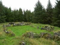 DSCN0701.JPG