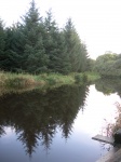 DSCN0619.JPG