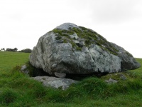 DSCN0651.JPG