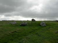 DSCN0652.JPG
