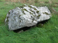 DSCN0653.JPG