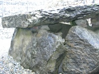 DSCN0655.JPG