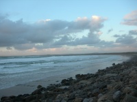 DSCN0682.JPG