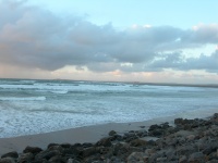 DSCN0685.JPG