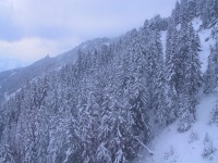 IMG_0202.jpg