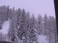 IMG_0203.jpg