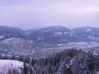 IMG_0231.jpg