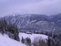 IMG_0232.jpg