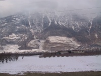 IMG_0239.jpg
