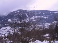IMG_0064.jpg