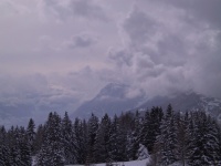IMG_0073.jpg