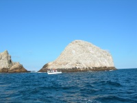 DSCN0826.JPG