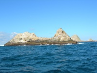 DSCN0842.JPG