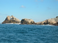 DSCN0846.JPG