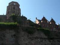 DSCN1514.JPG