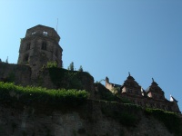 DSCN1517.JPG