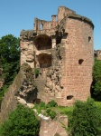 DSCN1543.JPG