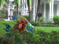 DSCN2258.JPG