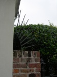 DSCN2281.JPG