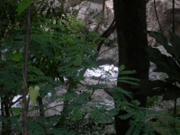 DSCN3486_JPG.JPG