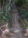 DSCN3499_JPG.JPG