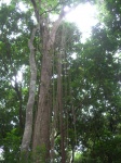 DSCN3500_JPG.JPG