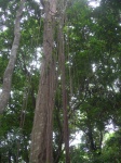 DSCN3501_JPG.JPG