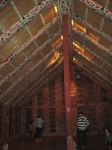IMG_1380.jpg