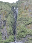 IMG_2054.jpg