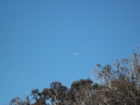 IMG_1564.jpg