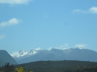 IMG_1700.jpg